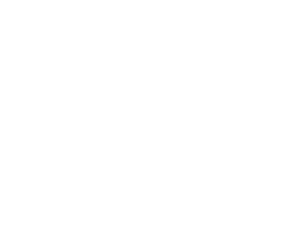viz logo branco